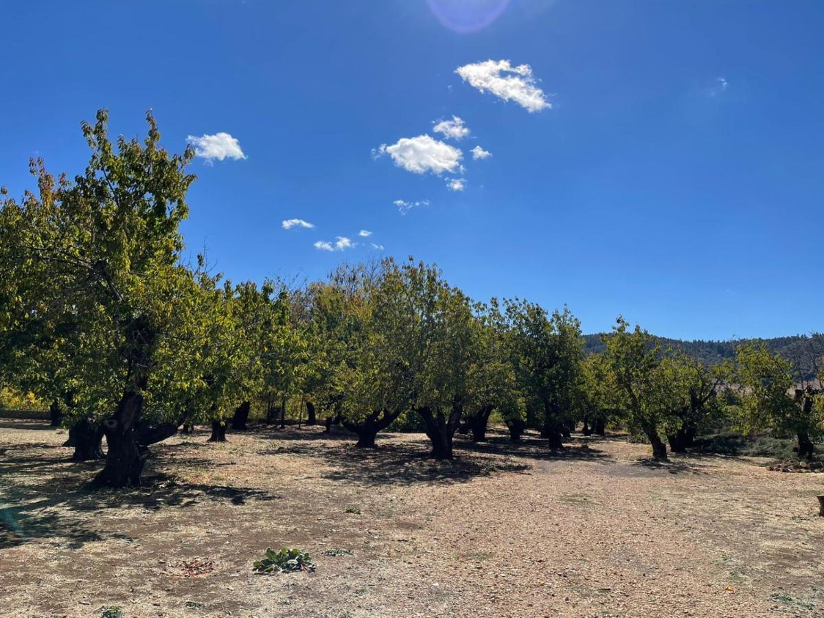 Gite Camping Amazigh Azrou Bagian luar foto